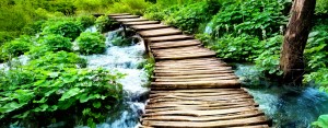 slider-green-path